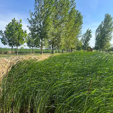 Ritopia Glamping * Kovilj